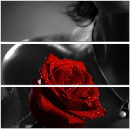 Черно-белое фото девушки с красной розой