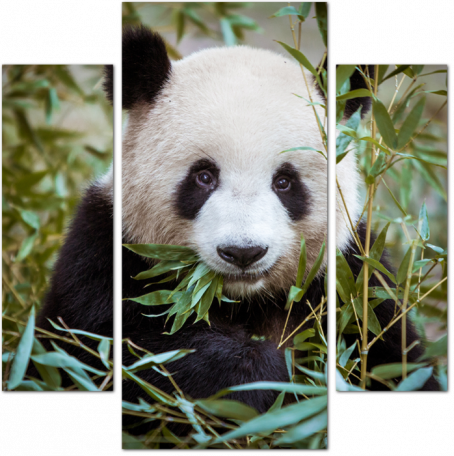 Портрет панды с листьями
