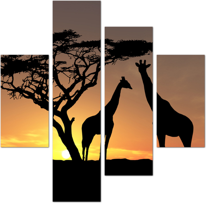 Очертания жирафов на закате