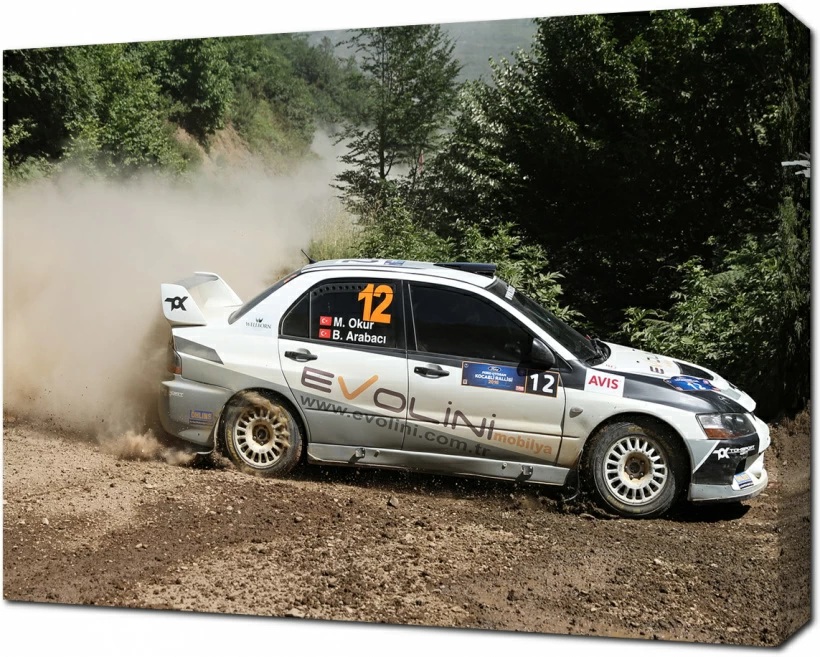 World Rally Car