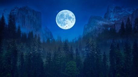 Ледяная луна над лесом