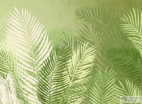 Зеленые силуэты пальмовых листьев