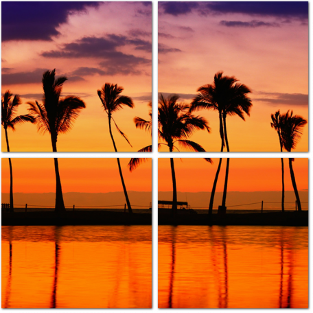 Закат с тропическими пальмами Гавайи