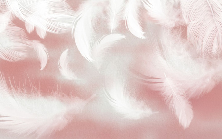 Нежные перья на розовом фоне