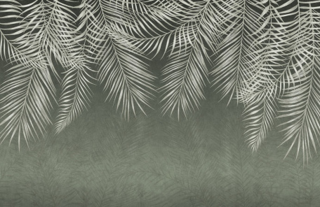 Изящные пушистые листья пальм
