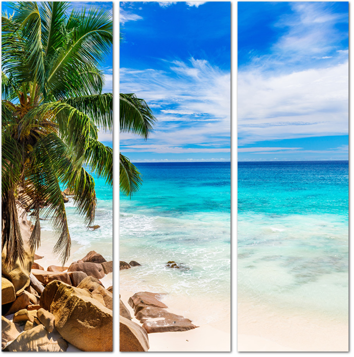 Морской тропический пейзаж с пальмами