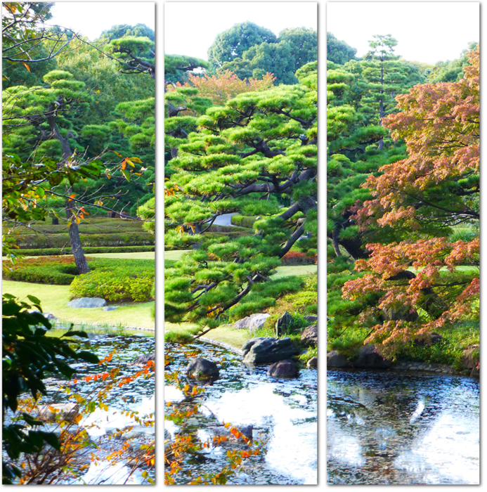 Сад Императорского дворца в Токио. Япония