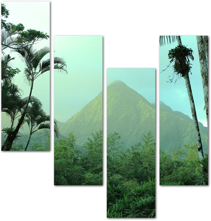 Зеленые горы в джунглях