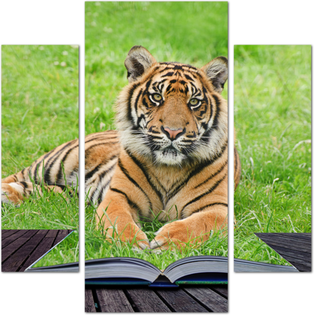 Тигр и волшебная книга