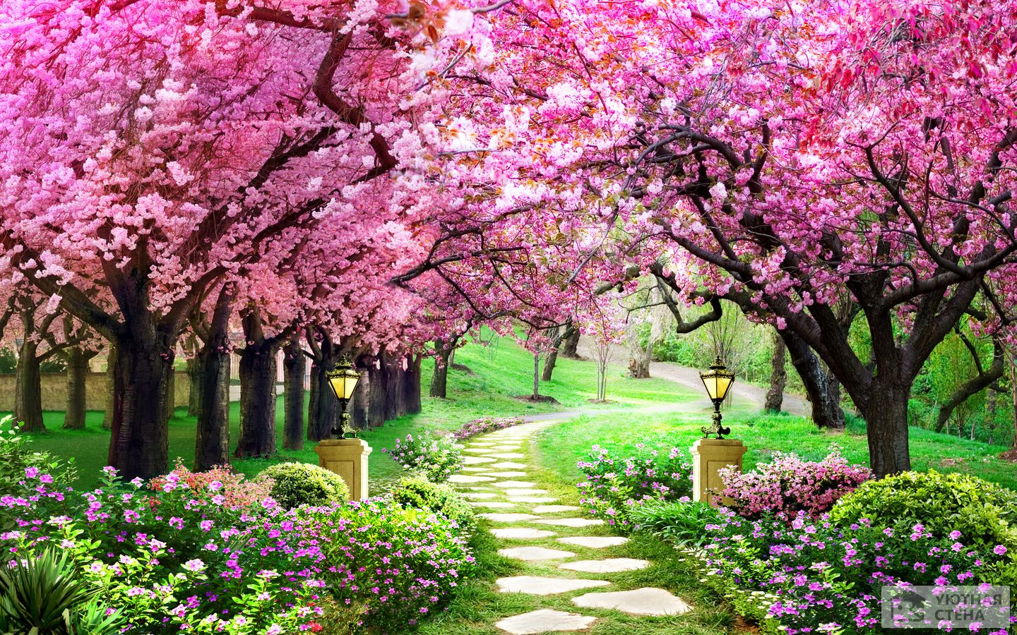 Аллея цветущих деревьев в парке