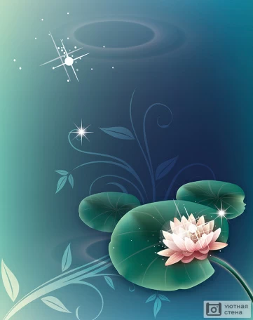 Кувшинка на ровной глади воды