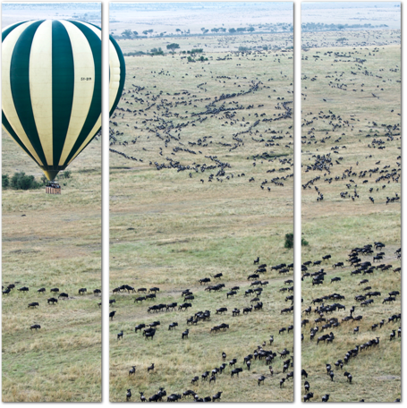 Воздушный шар и стаи антилоп