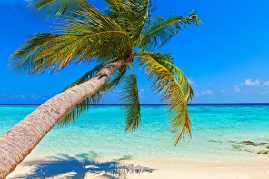 Тропический пляж на острове Vilamendhoo в Индийском океане. Мальдивы