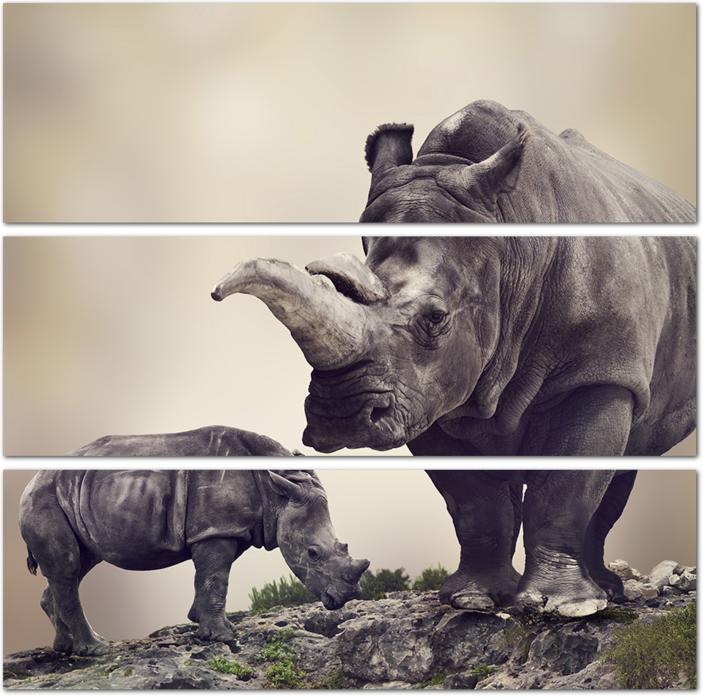 Носорог с детёнышем