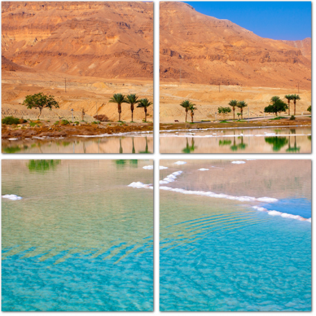 Мертвое море с пальмами и горами