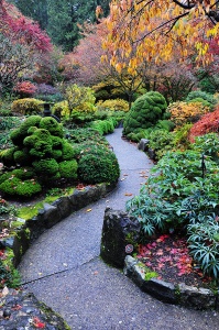 Осень в японском саду