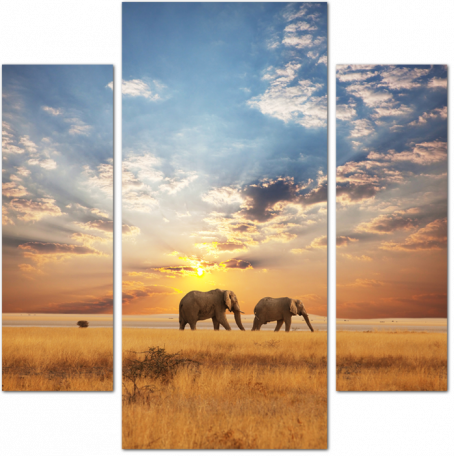 Пара слонов на закате в Африке