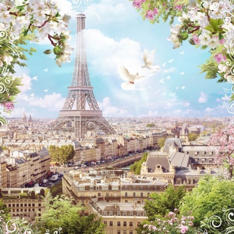 Голуби над головокружительным Парижем