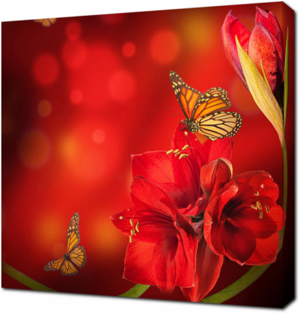 Бабочки на красном Амариллисе