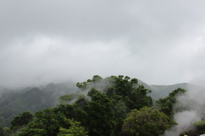 Дождь над тропическим лесом