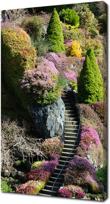 Лестница через сад
