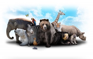 Коллаж с дикими животными