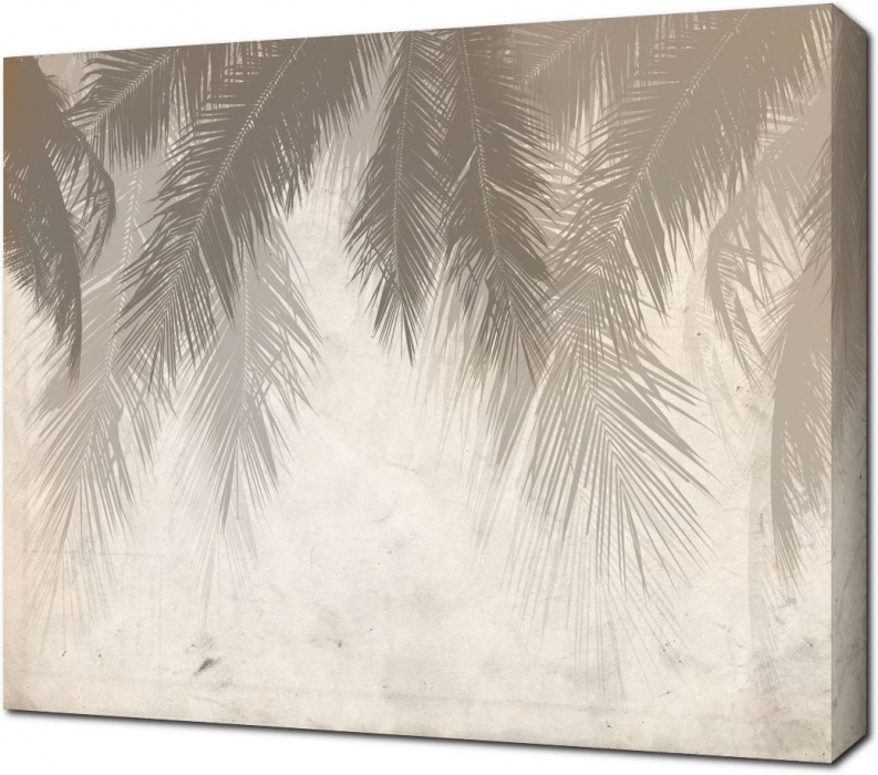 Пушистые силуэты пальмовых листьев
