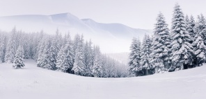 Туманный зимний пейзажа в горах