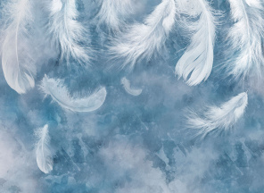 Белые перья на бело-голубом фоне