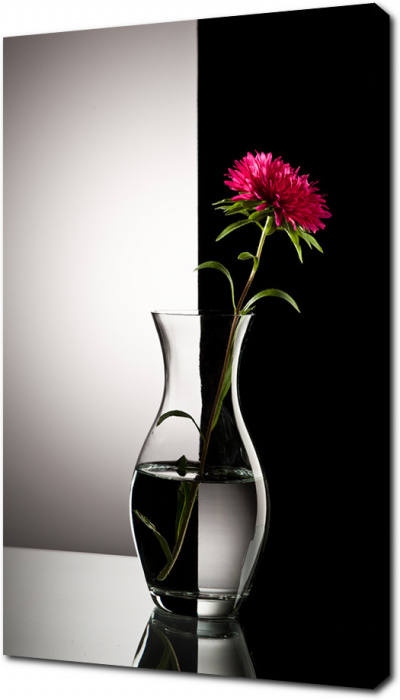 Красный цветок в вазе на черно-белом фоне