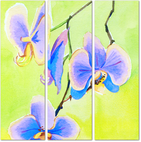 Синие орхидеи акварелью