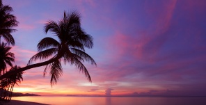 Панорама тропического заката с силуэтом пальмы на пляже