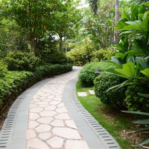 Каменная дорожка через тропический парк