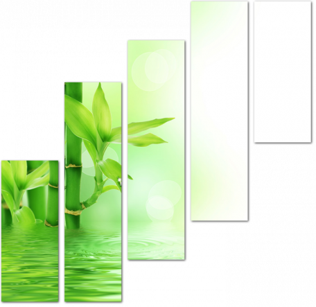 Зеленый бамбук и вода