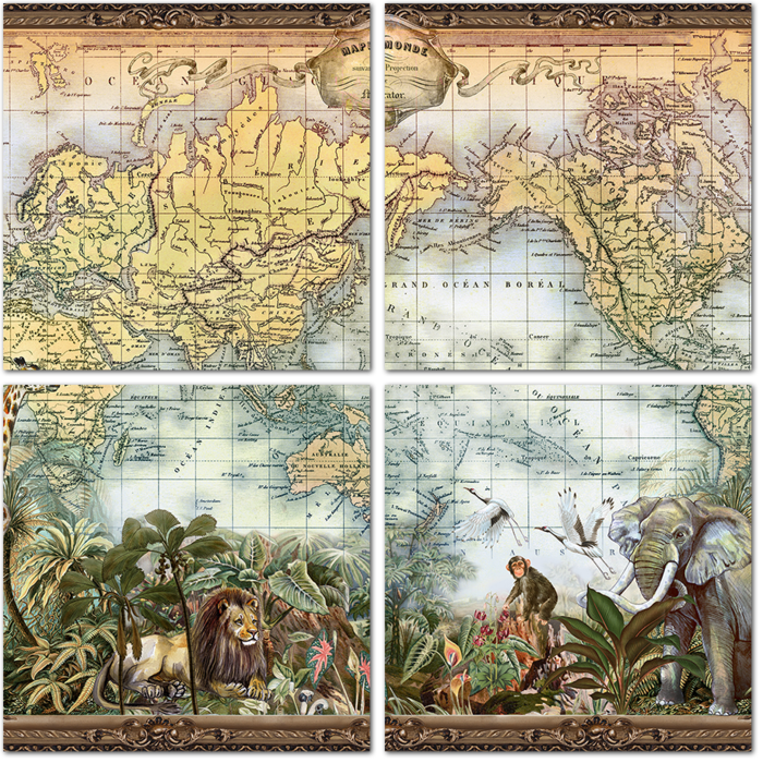 Карта мира с джунглями
