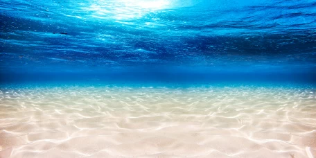 Прохладные морские глубины