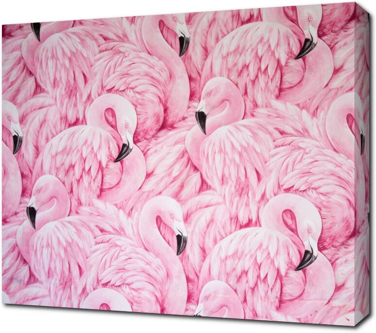 Ритмы розовых фламинго
