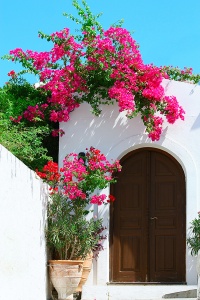 Входная дверь, украшенная цветами