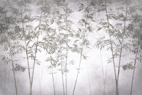 Бамбуковый лес в тумане