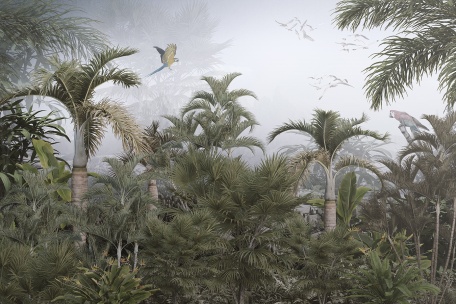 Туман над далекими джунглями