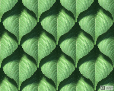 Листья 3D
