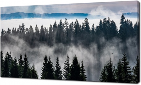 Череда леса и тумана