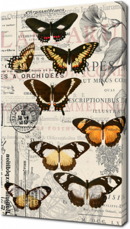 Винтажная фреска с бабочками