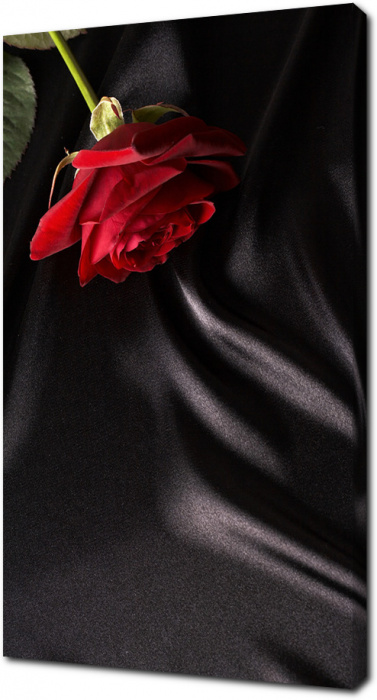Красная роза на черном шелке