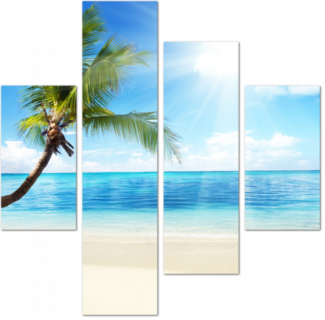Пальма и пляж с солнцем