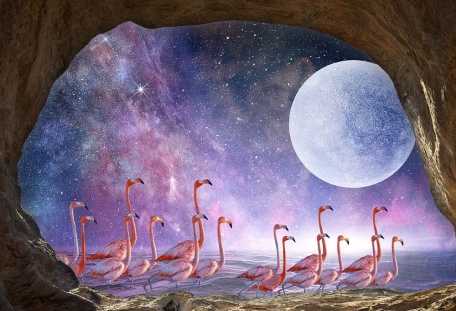 Завораживающий вид на стаю фламинго