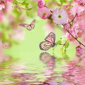 Бабочки на цветущей ветке