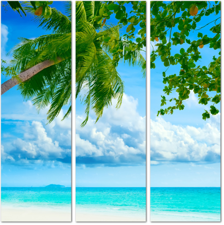 Красивый тропический пляж с пальмами