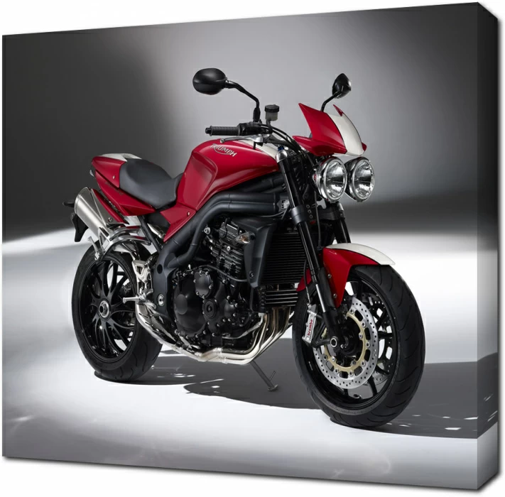 Спортбайк Triumph Speed Triple S.E.