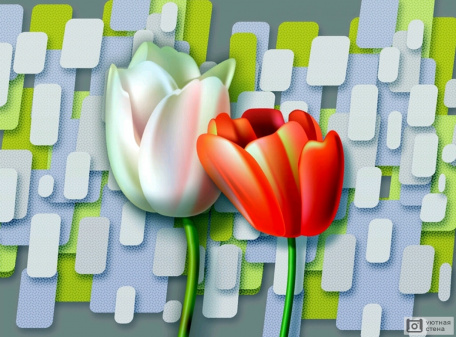 3D два тюльпана